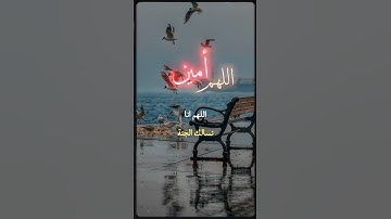 #تلاوات_خاشعة #قرآن_كريم #اذكار #quran #islam #دعاء_يريح_القلوب #اذكار_الصباح #دعاء_الصباح #دعاء