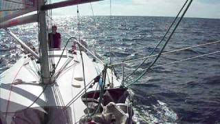 DSCF0551