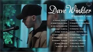 Dave Winkler Collection 2022 | New Acoustic Cover Songs By Dave Winkler 2022