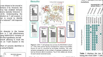 Population-Scale HLA Typing Reveals Dynamics of CD8+... - David J. Hamelin - Poster - ISMB/ECCB 2023