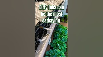 satisfying gutter cleanout  #gutters #guttercleaning #diy #tips #satisfying #asmr #shorts