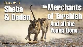 Class 13   Sheba, Dedan, the Merchants of Tarshish and all the Young Lions