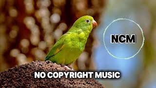 Arabian Nights - Patrick Patrikios No Copyright Musiccopyright Free Music
