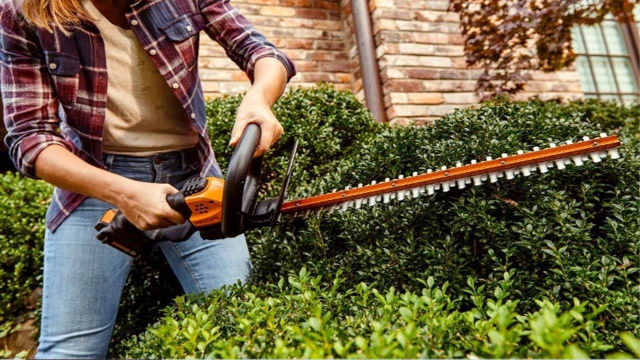 Best Cordless Hedge Trimmers 2023 Top 5 Hedge Trimmers in 2023 👌Top