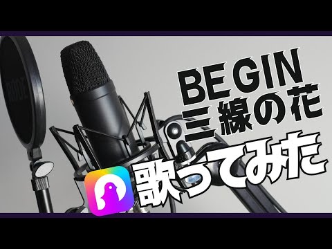 【カバー】三線の花／BEGIN｜Pokekaraで心を込めて歌いました【あげぱん】