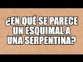 5 Adivinanzas en Español: ¿En qué se parece un esquimal a una serpentina?