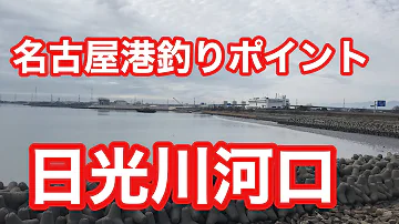 天白川河口根魚釣り