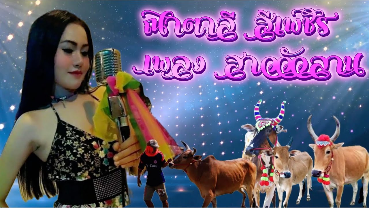 เพลง สาววัวลาน ขับร้อง:นาตาลี สีเพชร