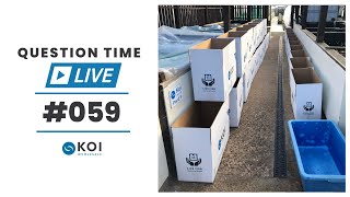 Koi Question Time LIVE #59