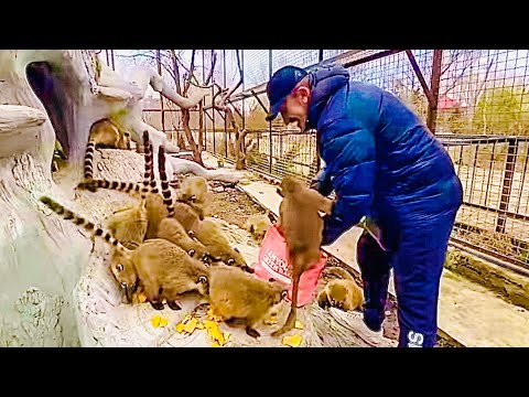 СМЕХ! Люська ОТЖАЛА ВКУСНЯШКИ сев опой в сумку и собралась домой)))