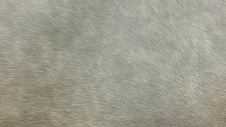 Green Clay Crackle Faux Leather Vinyl Upholstery Fabric By The Yard 54 W