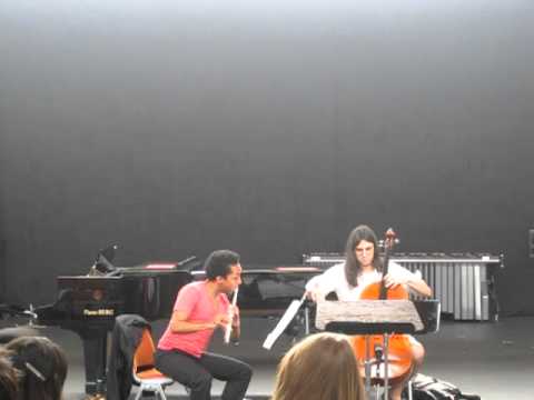 Infinite Soundscape for flute and cello (2010)