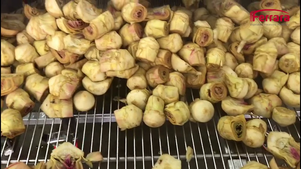 CUOCITORE LINEARE CONTINUO CON PRE-CUOCITORE PER CARCIOFI LAVORATI Mod. CLV 20-P