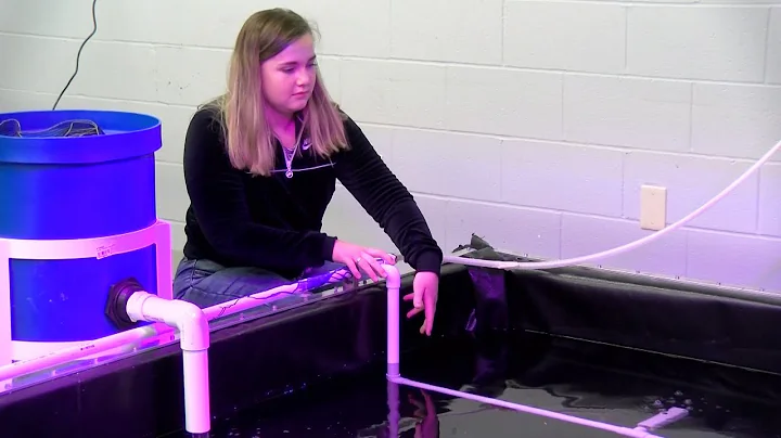 This hydroponics food program helps students grow ...
