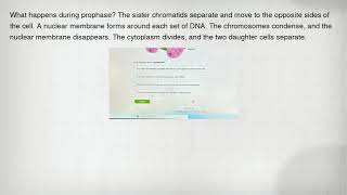 What happens during prophase The sister chromatids separate and move to the opposite sides of the c