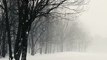 Winter Wind Sound Effects | Snow Storm Background Video | Copyright Free Nature Sounds