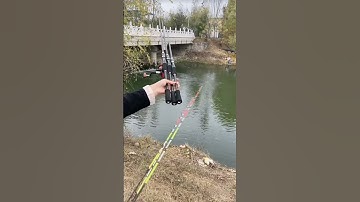 Cần câu máy ikada 2,1 mét ngọn siêu dẻo 0.6li câu cá dìa hanh 4-8kg #fishing #shorts