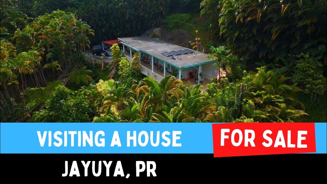 Visité casa de campo a la venta en Jayuya PR cerca de la piedra escrita