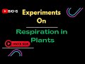 Experiments Based On Respiration In Plants With Amazing Explanation