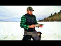 Ice Fishing Native Brook Trout on Remote Maine Lake (WITH DOGS!)