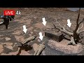 NASA Perseverance Rover Latest Images SOL 1843 | Mars Panoramic 4k video | Mars hd photo