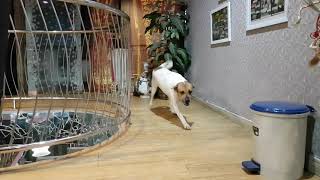 When I See You Smile.. Ouoo..ouoo..err