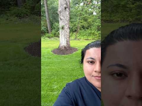 A Quiet Rainy Day at Home #momvlog — video thumbnail