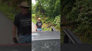 Fallen Tree Blocking🚧 🚫🚧 My Road Part 2 #diy #shortvideo #bushcraft