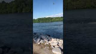 My Local Fishing Spot Kerr Lake would you fish it or not?