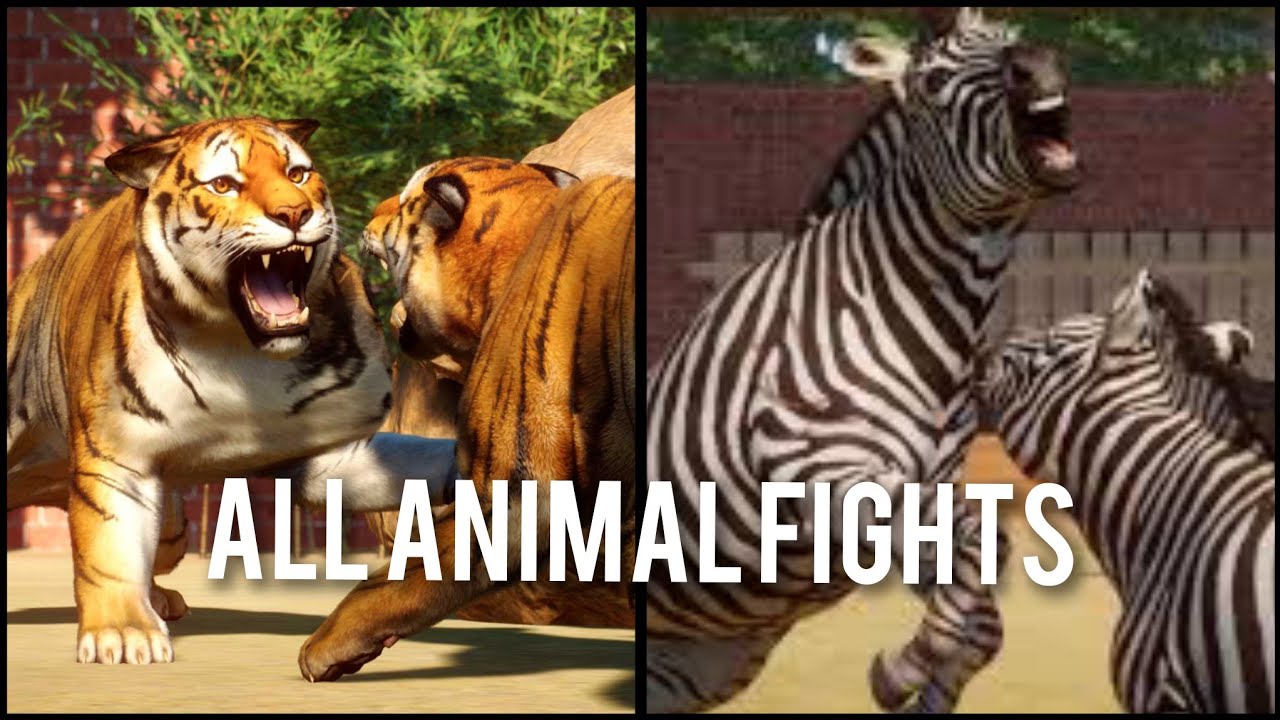 Planet Zoo (1.12) All Animal Fights