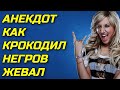 АНЕКДОТ КАК КРОКОДИЛ НЕГРОВ КУШАЛ.