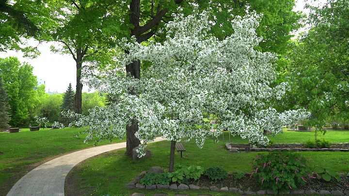 Brenda Parker Hilt's Grave Site at Beechwood Cemet...