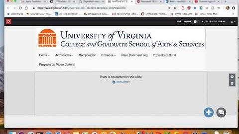 Submitting Entire Portfolio with New Digication