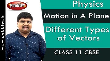 Different types of Vectors : Motion in A Plane | Physics | Class 11 | CBSE