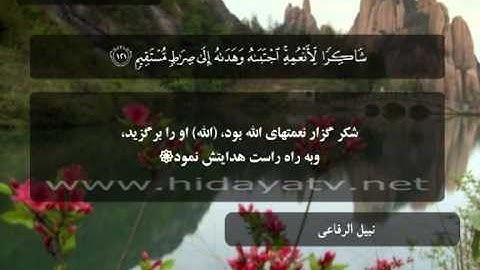 112 / جزء 14 / سوره نحل (111-128) / تلاوت قرآن با صدای نبيل الرفاعي