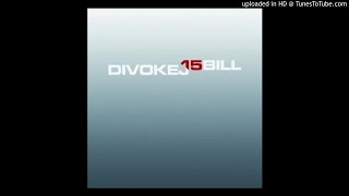 Video thumbnail of "03.Divokej Bill - Dolsin"