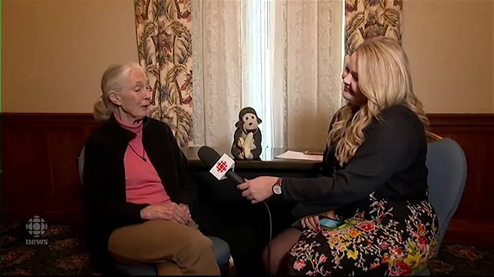 Jane Goodall talks chimpanzees, animal research, t...