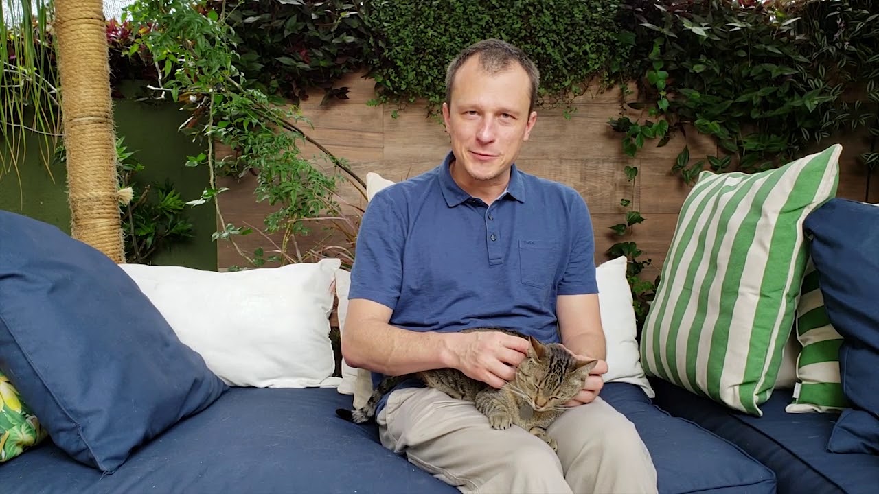 animal health diagnostic center Websérie NOBIVAC - VACINAÇÃO EM GATOS