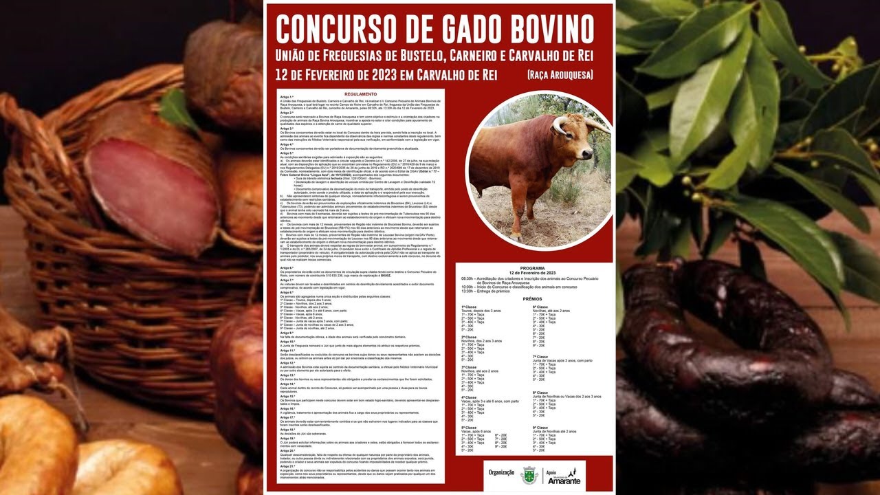 CONCURSO de GADO BOVINO-Feira do Fumeiro-Carvalho de Rei-Amarante-2023
