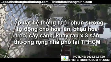 Hướng dẫn lắp đặt hệ thống tưới phun sương khay thùng xốp trồng rau sạch hoa lan cây cảnh sân thượng
