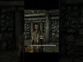 Skyrim NPCs Are WILD...