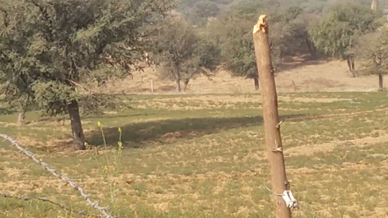 Good afternoon ji all 🕉️🙏🙏🙏 har har Mahadev sabhi ko 🙏