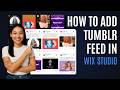 How to Add Tumblr Feed in Wix Studio [For FREE]