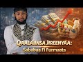 IBSA HASSAN QAALA INSA JIREENYA PART 1