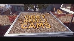 Obey Cams 4