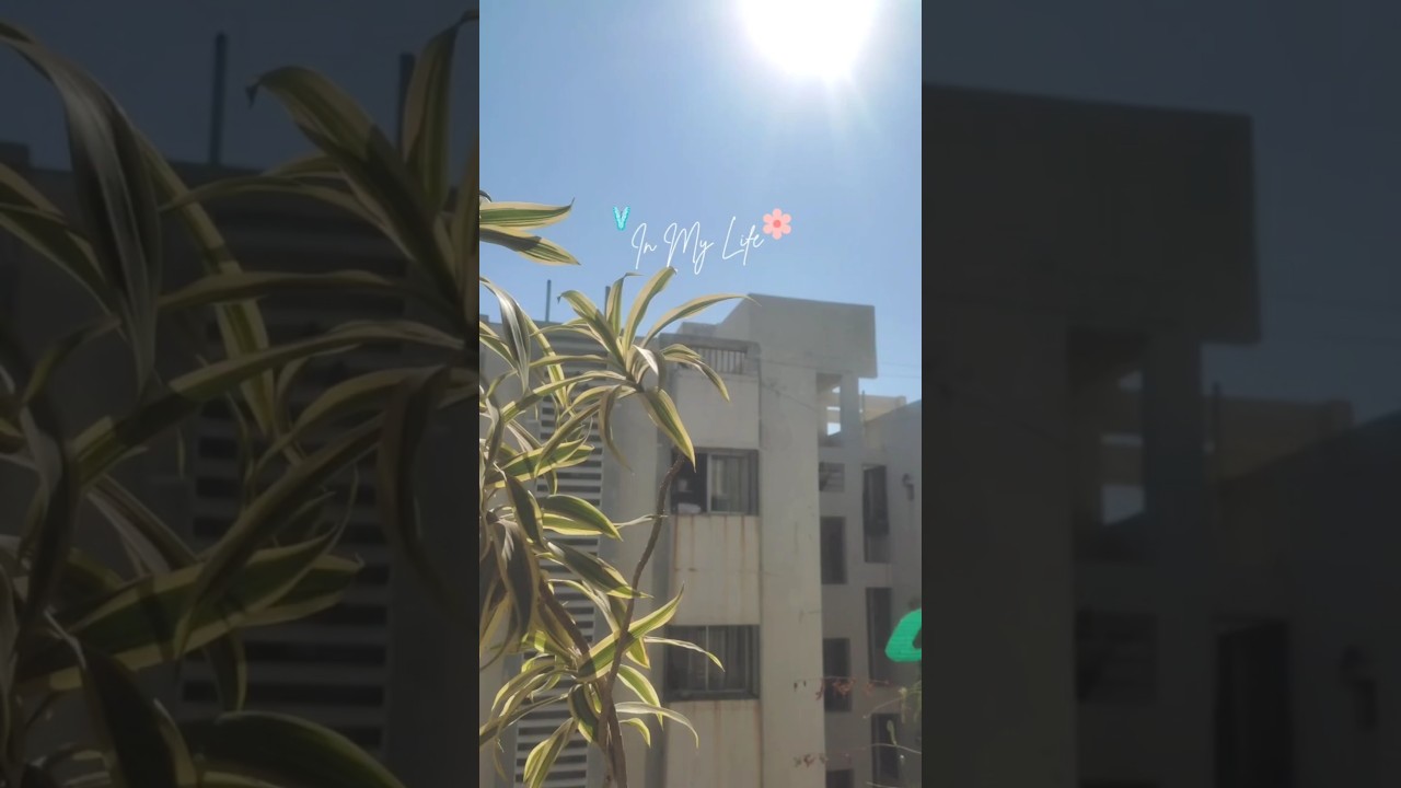 A Day In My Life ✨ 