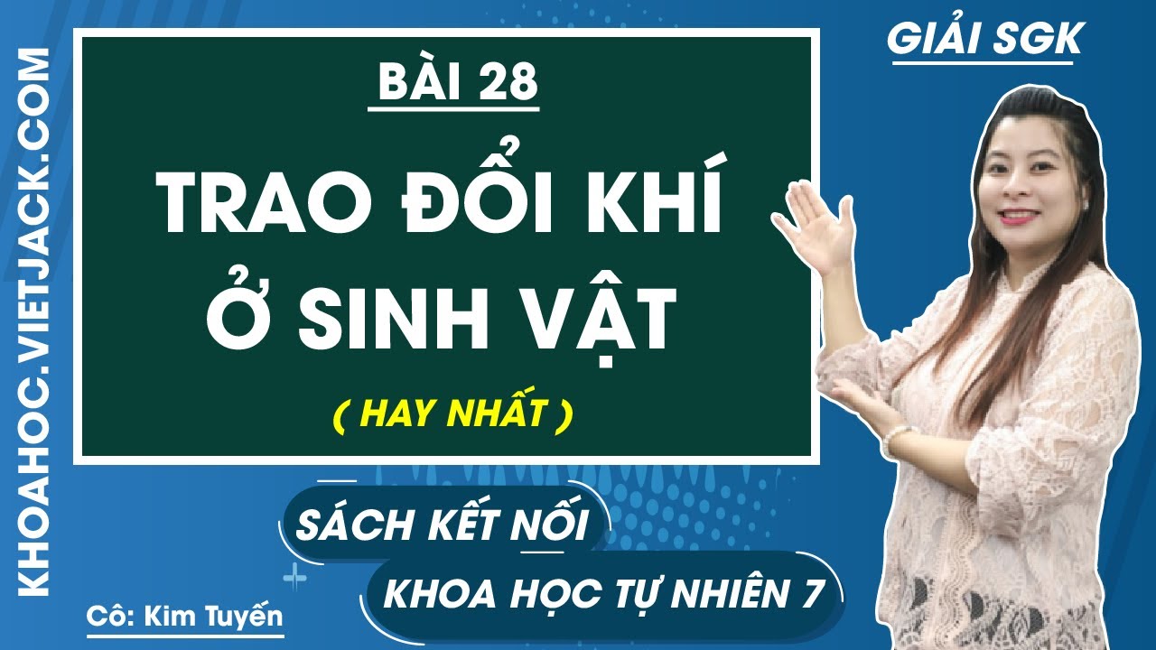 Khoa học tự nhiên Lớp 7 Bài 28: Trao đổi khí ở sinh vật - Trang 118, 121 | Kết nối tri thức