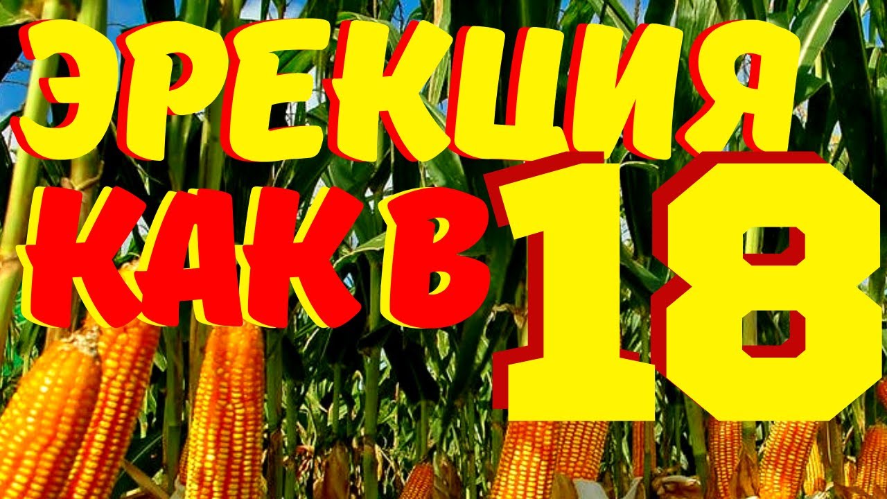 СУПЕРРЕЦЕПТ ДЛЯ ХОРОШЕЙ ЭРЕКЦИИ. БЫСТРОЕ ВОССТАНОВЛЕНИЕ ПОТЕНЦИИ. Как ...