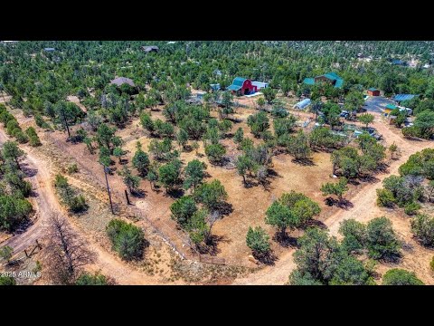 3332 Bear Heights Rd, Heber, AZ home video tour