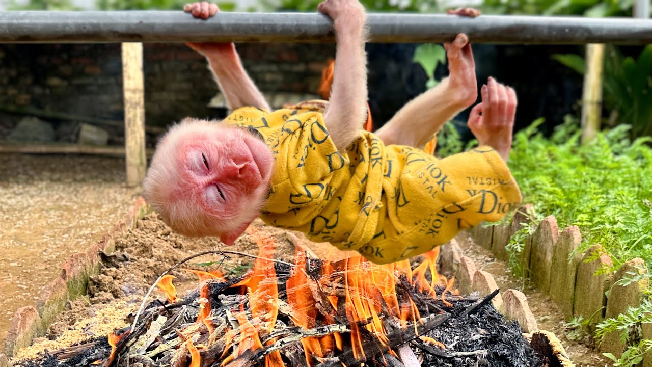 Огонь был настолько широким и высоким, что Хаки едва мог спастись!!!